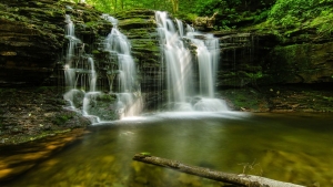 Forest-Green-Waterfalls-1440x2560