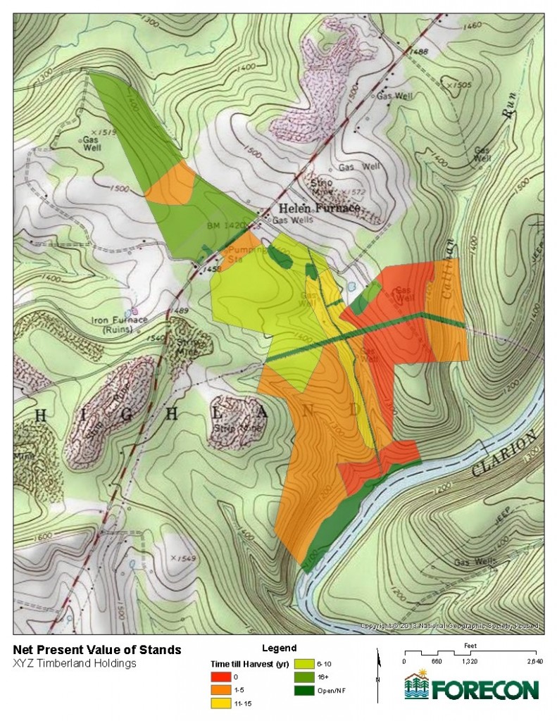 ForestSim map of Peak NPV status